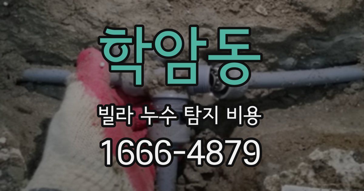 학암동 빌라 누수 탐지 비용