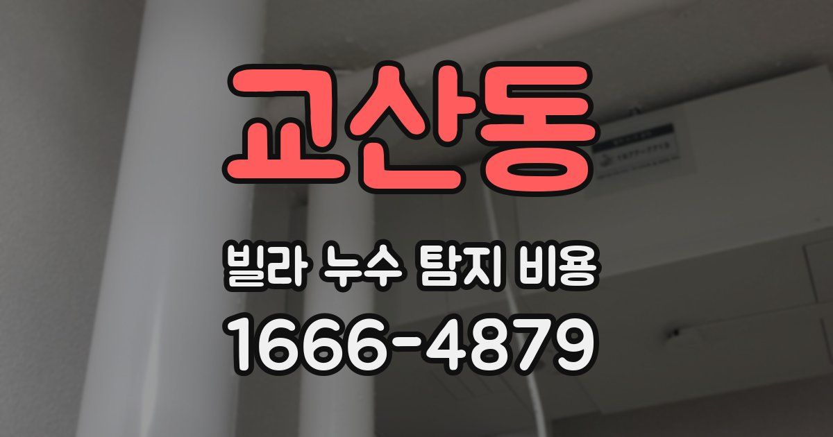 교산동 빌라 누수 탐지 비용