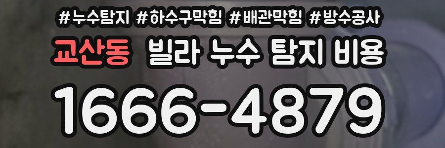 교산동 빌라 누수 탐지 비용