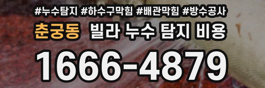 춘궁동 빌라 누수 탐지 비용
