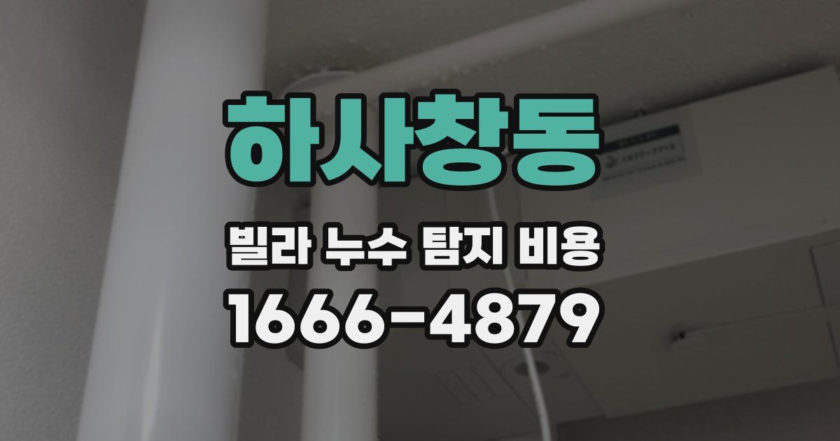 하사창동 빌라 누수 탐지 비용