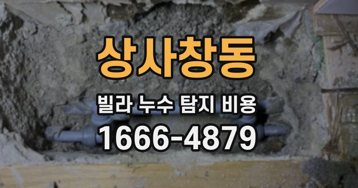 상사창동 빌라 누수 탐지 비용