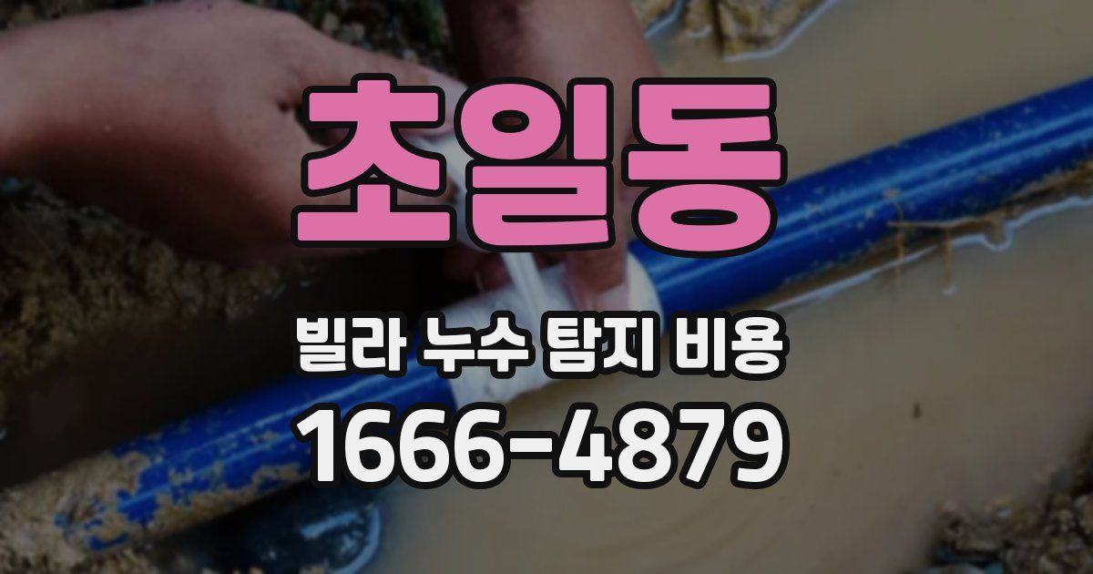 초일동 빌라 누수 탐지 비용