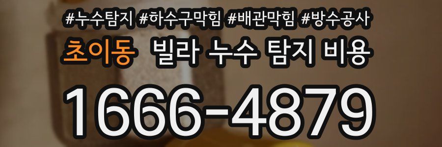 초이동 빌라 누수 탐지 비용