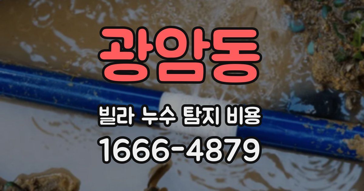 광암동 빌라 누수 탐지 비용
