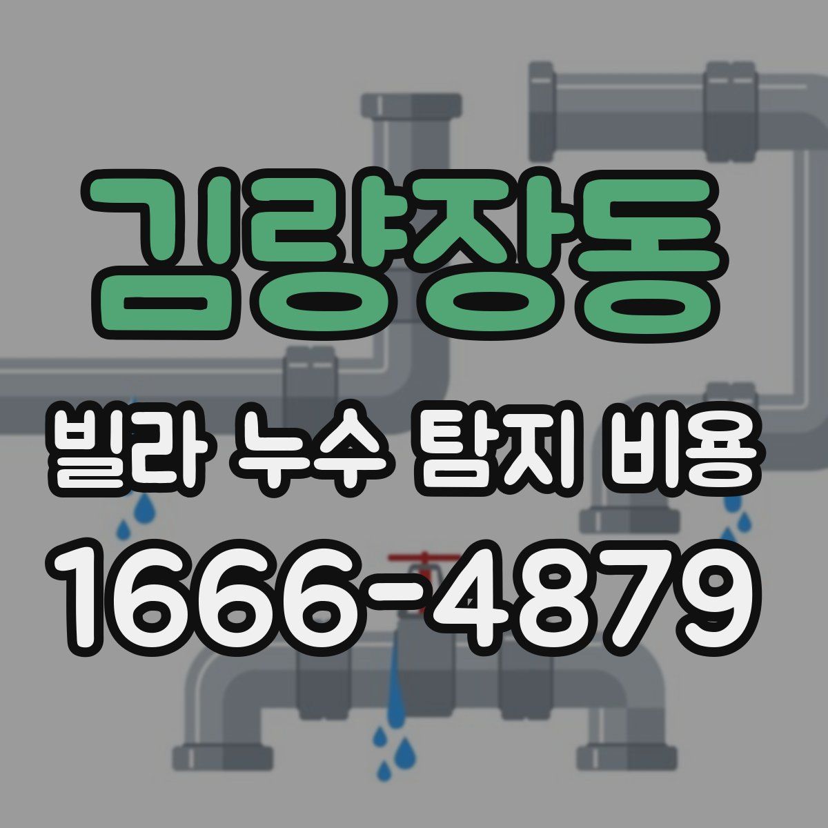 김량장동 빌라 누수 탐지 비용
