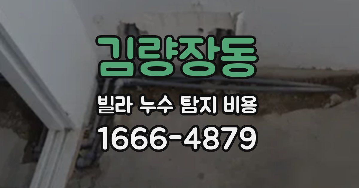 김량장동 빌라 누수 탐지 비용