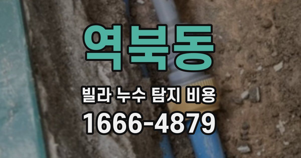 역북동 빌라 누수 탐지 비용