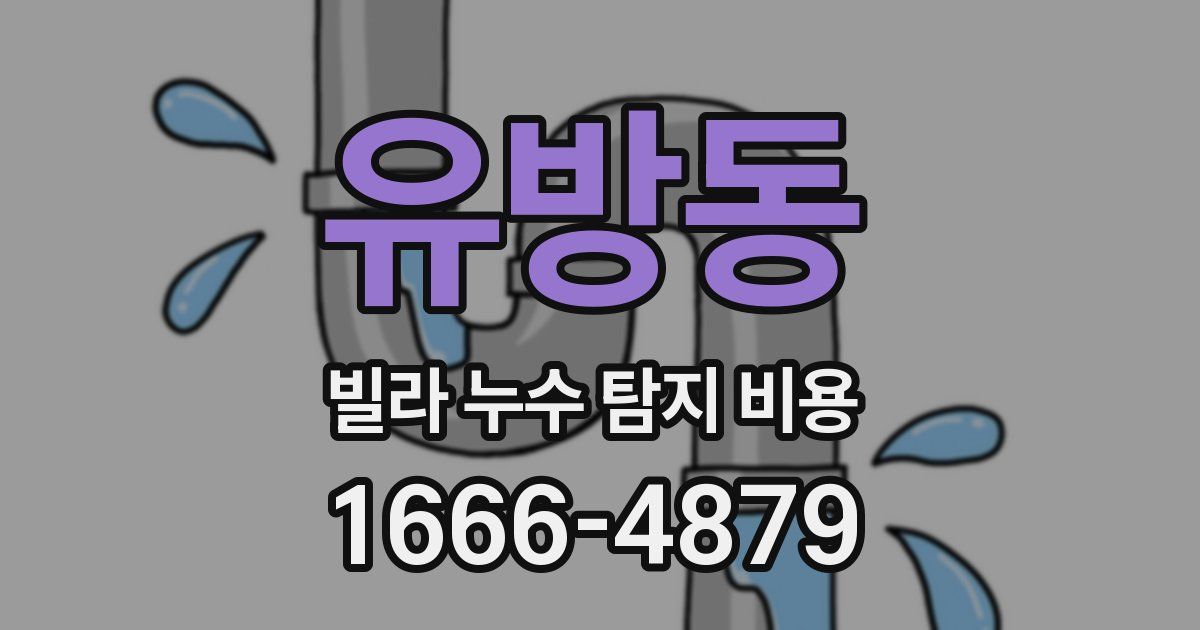 유방동 빌라 누수 탐지 비용