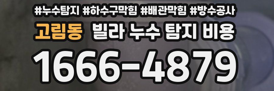 고림동 빌라 누수 탐지 비용