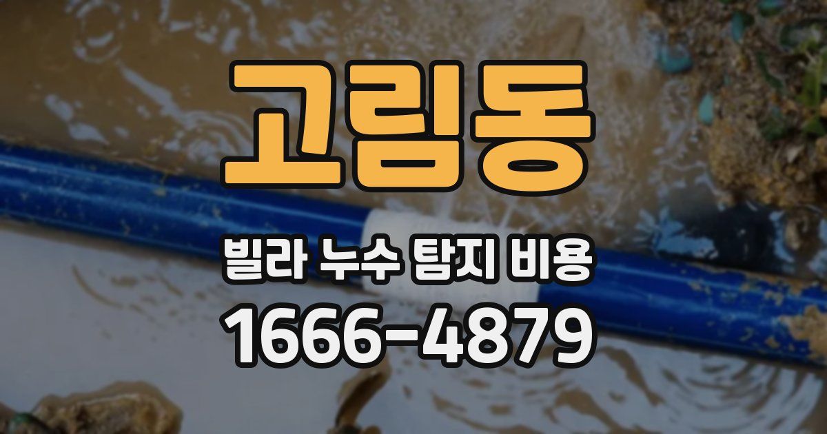 고림동 빌라 누수 탐지 비용