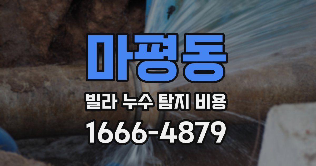 마평동 빌라 누수 탐지 비용