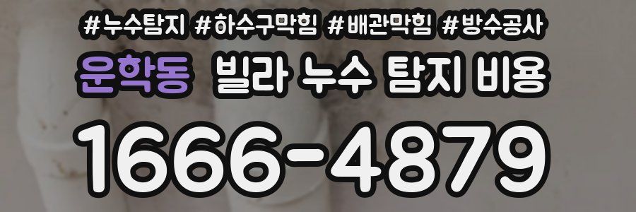 운학동 빌라 누수 탐지 비용