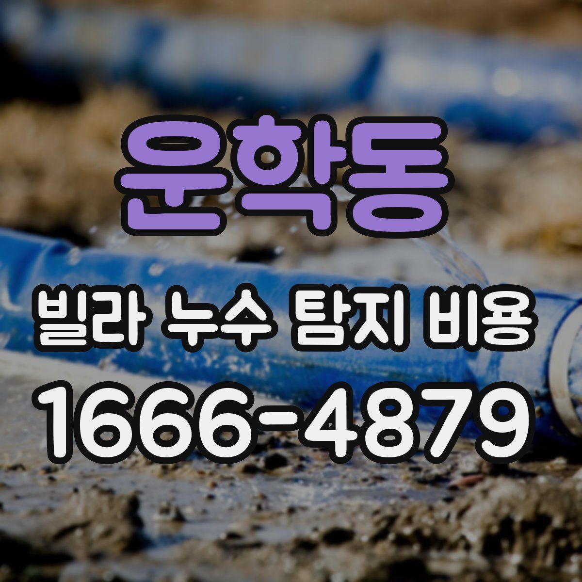 운학동 빌라 누수 탐지 비용