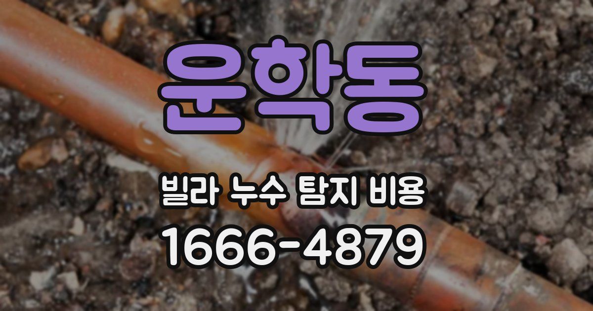 운학동 빌라 누수 탐지 비용