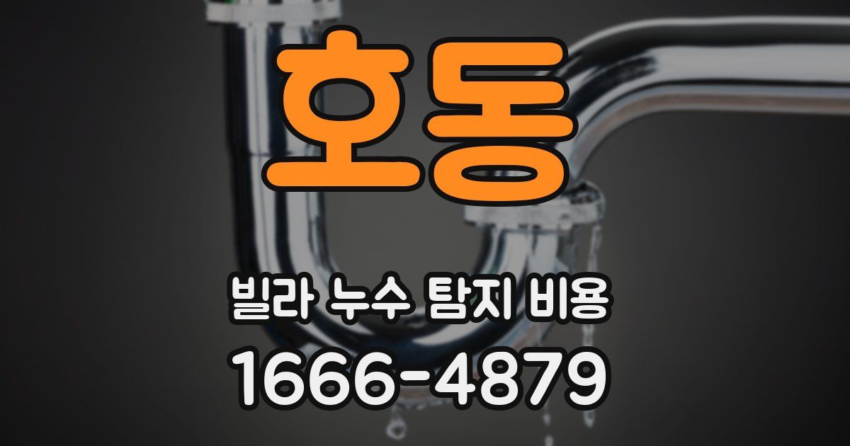호동 빌라 누수 탐지 비용