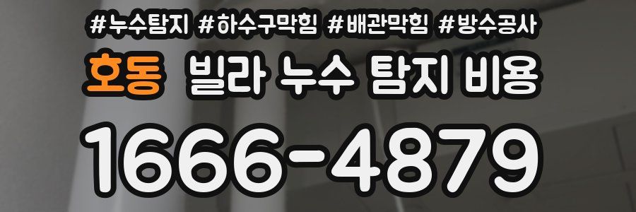 호동 빌라 누수 탐지 비용