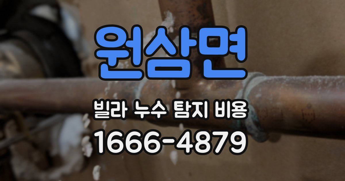 원삼면 빌라 누수 탐지 비용
