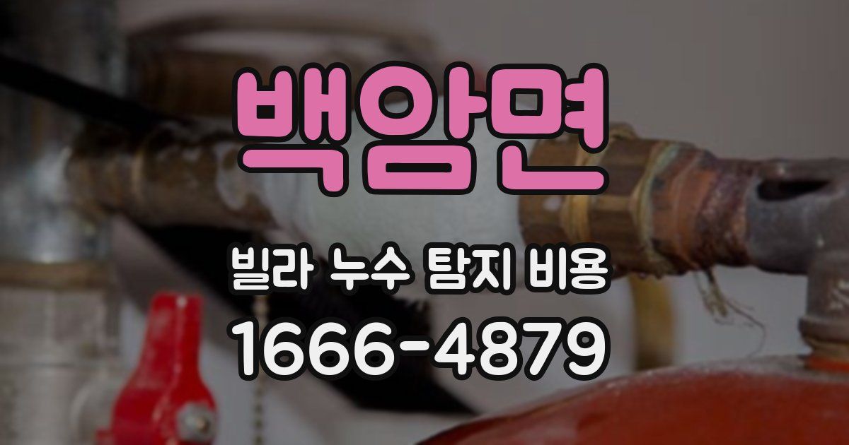 백암면 빌라 누수 탐지 비용