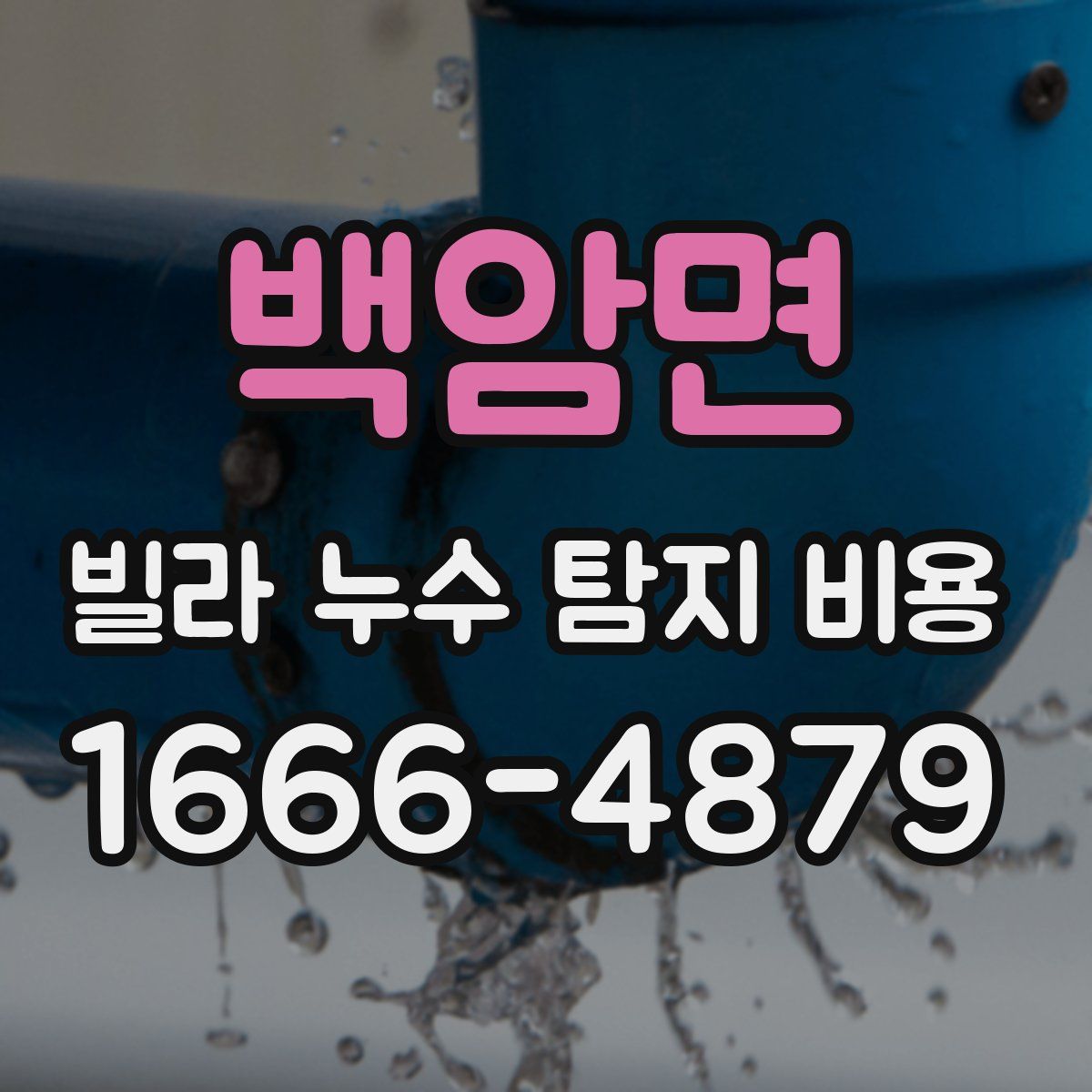 백암면 빌라 누수 탐지 비용