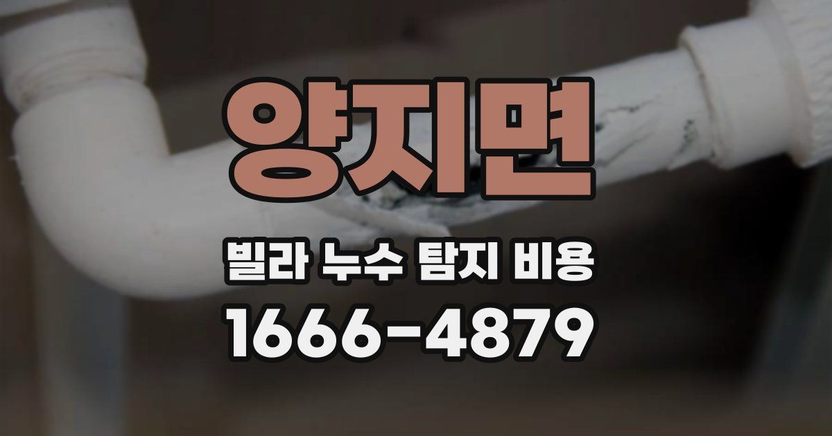 양지면 빌라 누수 탐지 비용