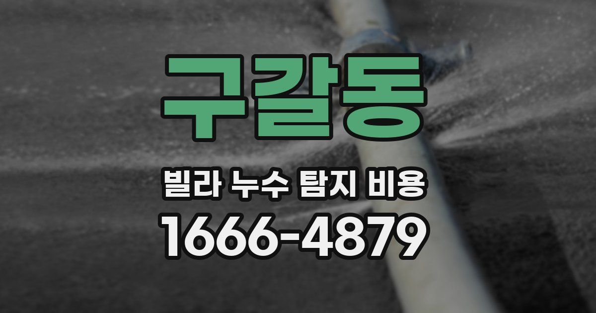 구갈동 빌라 누수 탐지 비용