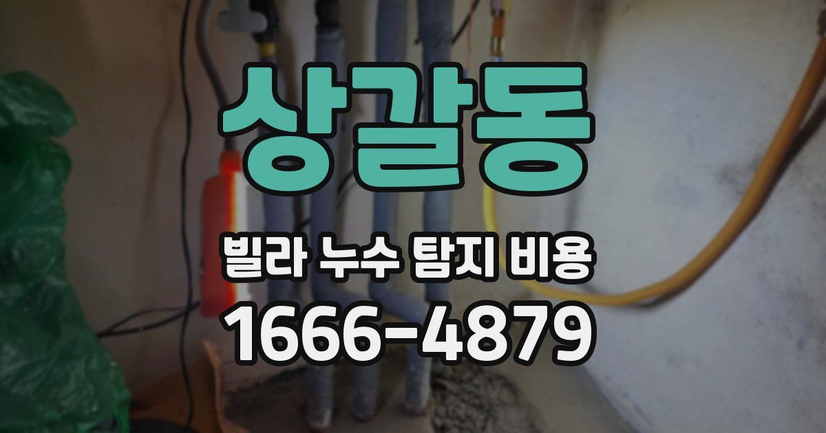 상갈동 빌라 누수 탐지 비용