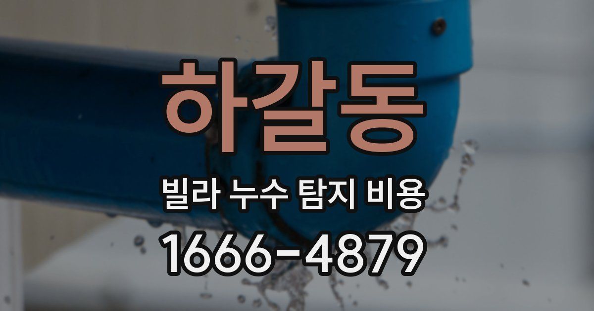 하갈동 빌라 누수 탐지 비용