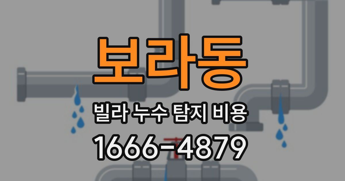 보라동 빌라 누수 탐지 비용