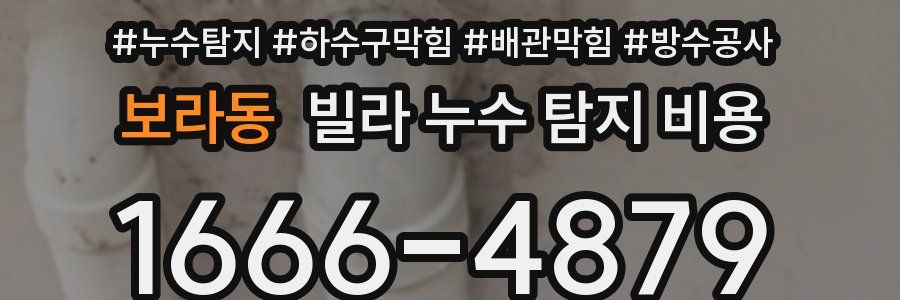 보라동 빌라 누수 탐지 비용