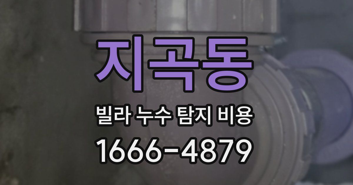 지곡동 빌라 누수 탐지 비용