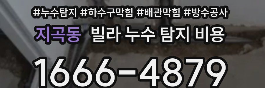 지곡동 빌라 누수 탐지 비용