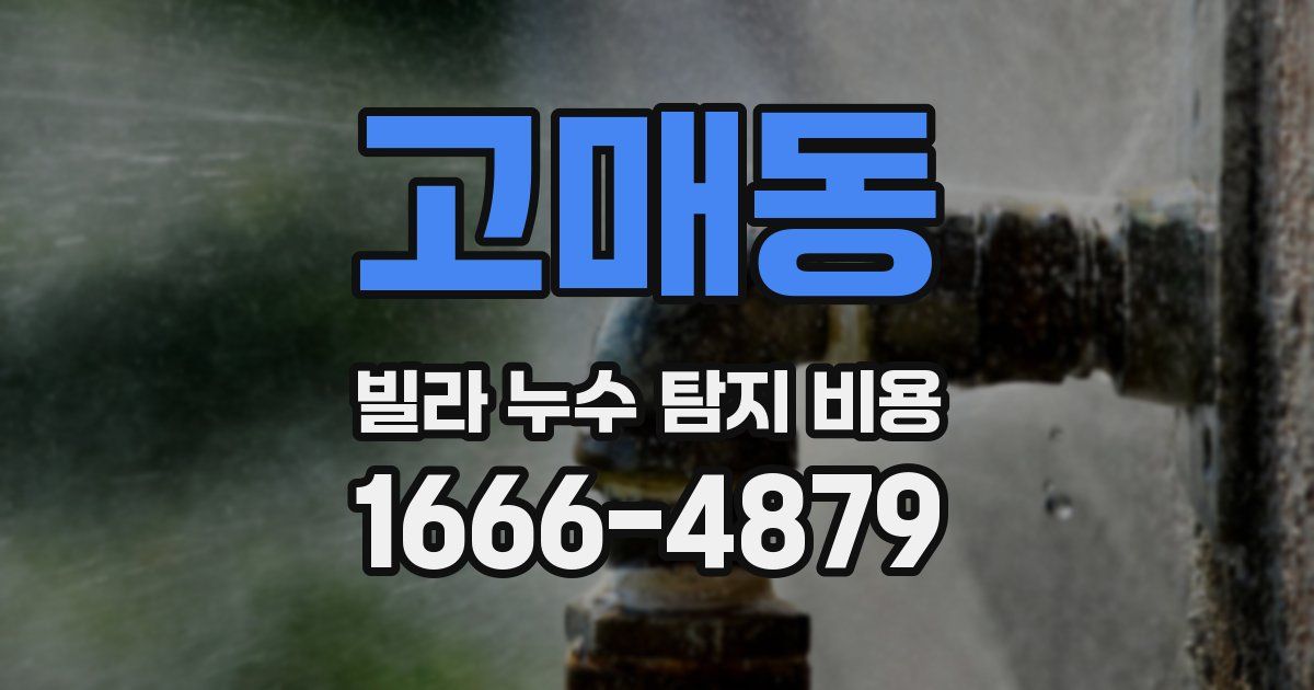 고매동 빌라 누수 탐지 비용