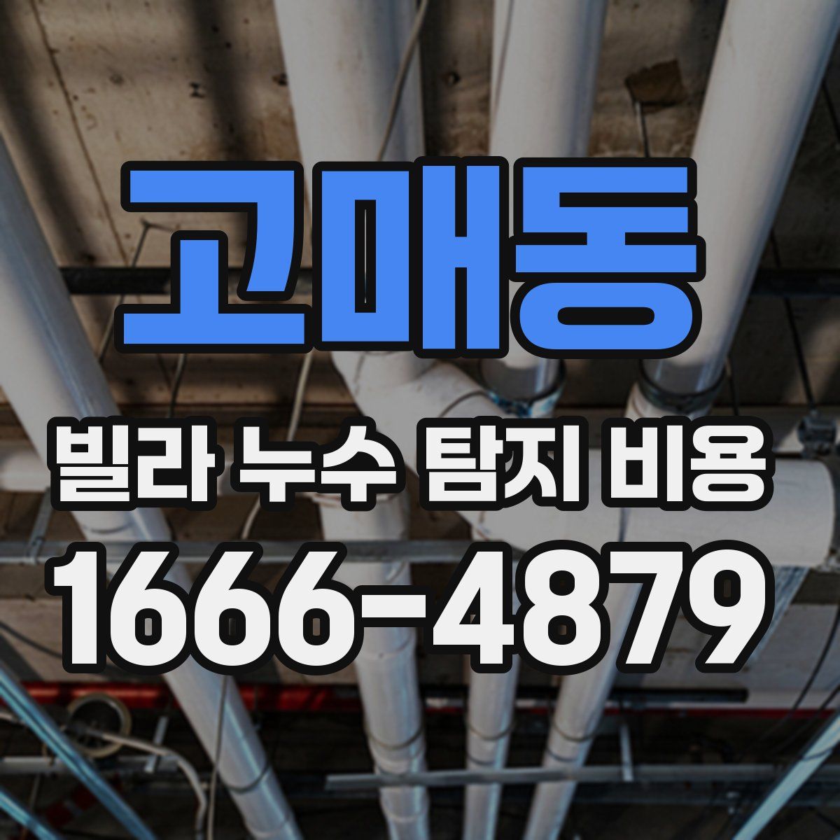 고매동 빌라 누수 탐지 비용
