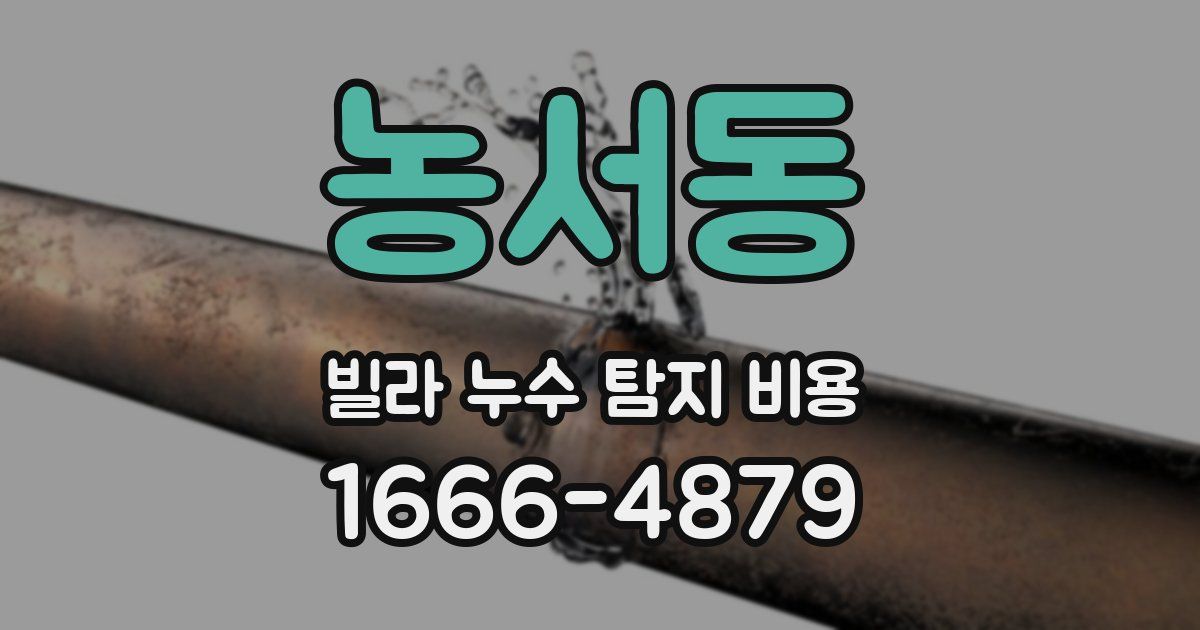 농서동 빌라 누수 탐지 비용