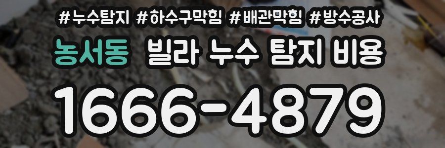 농서동 빌라 누수 탐지 비용