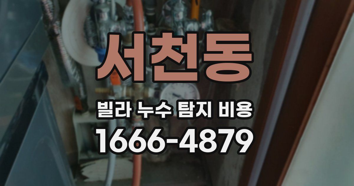 서천동 빌라 누수 탐지 비용