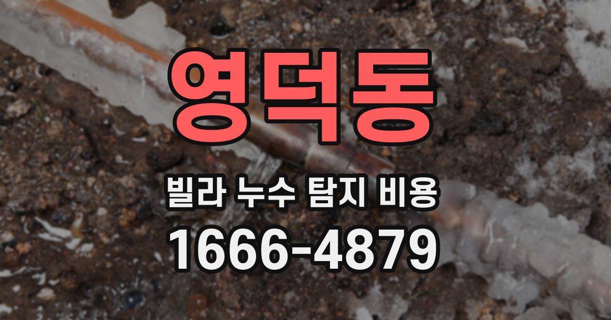 영덕동 빌라 누수 탐지 비용