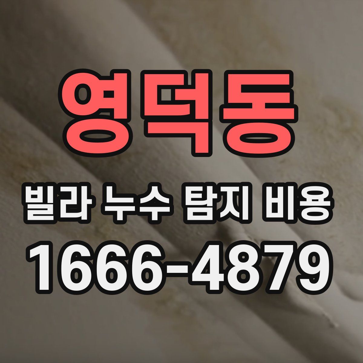 영덕동 빌라 누수 탐지 비용