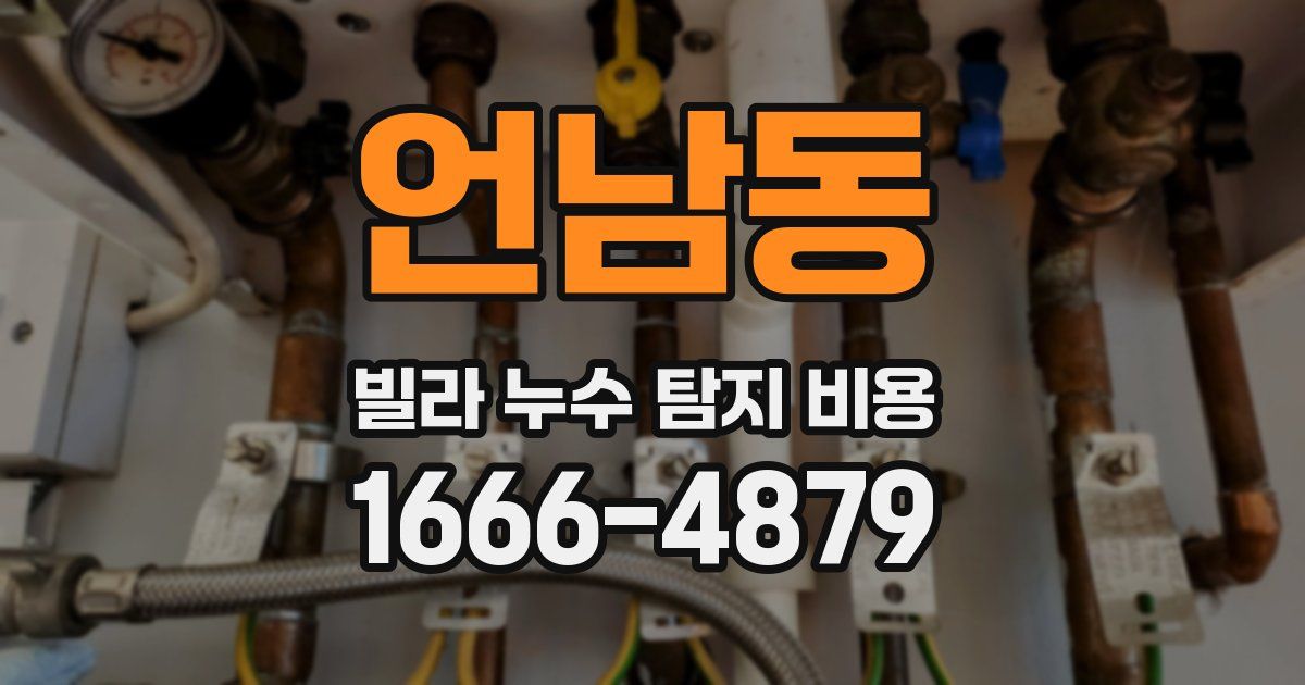 언남동 빌라 누수 탐지 비용