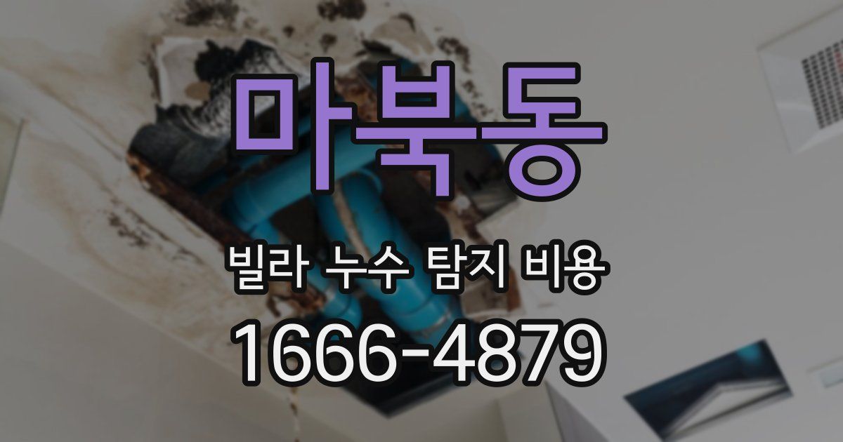 마북동 빌라 누수 탐지 비용
