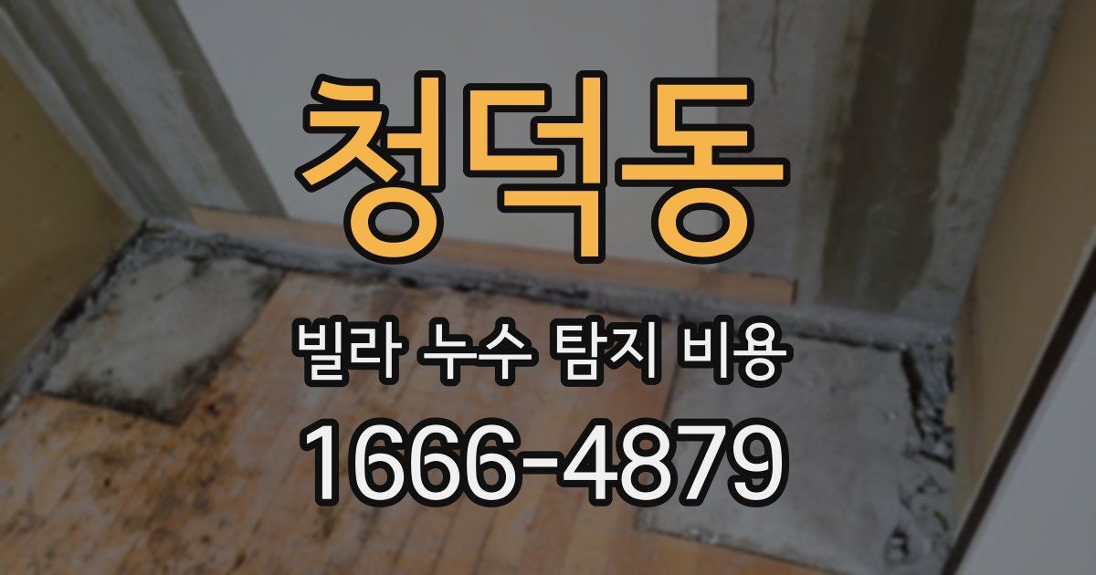 청덕동 빌라 누수 탐지 비용