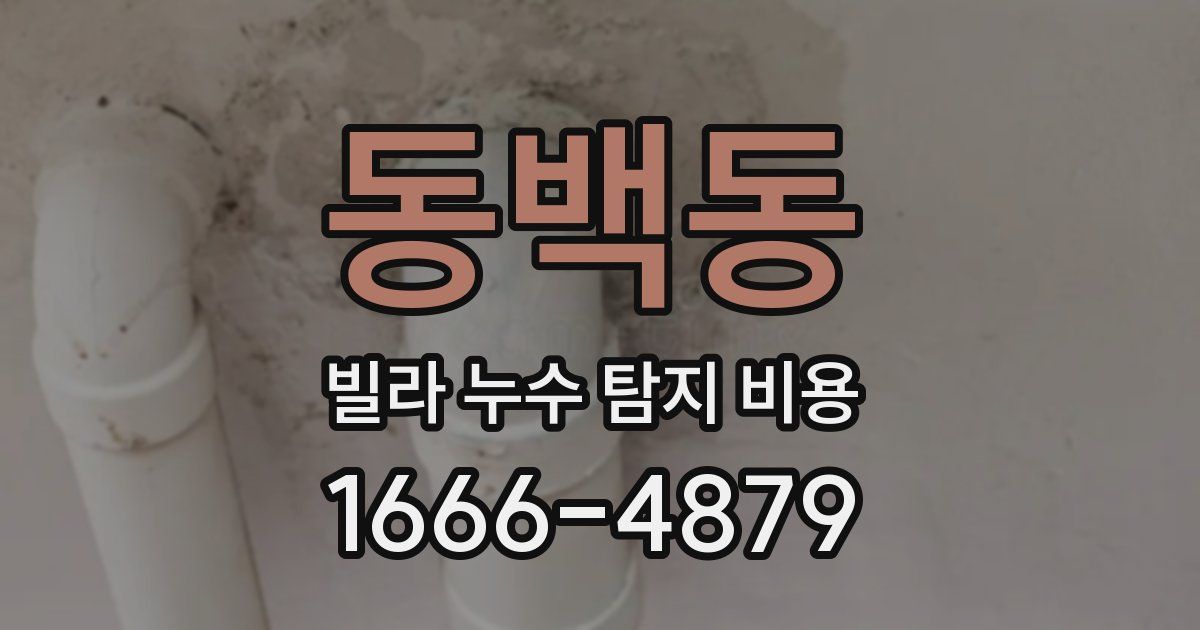 동백동 빌라 누수 탐지 비용