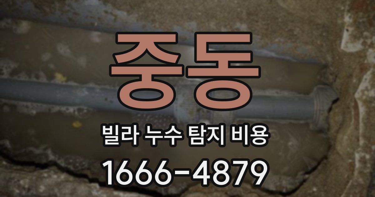 중동 빌라 누수 탐지 비용