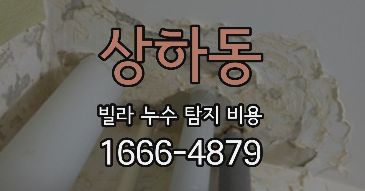 상하동 빌라 누수 탐지 비용