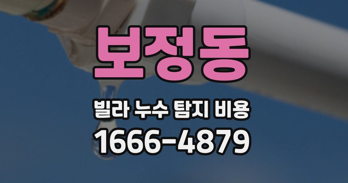 보정동 빌라 누수 탐지 비용