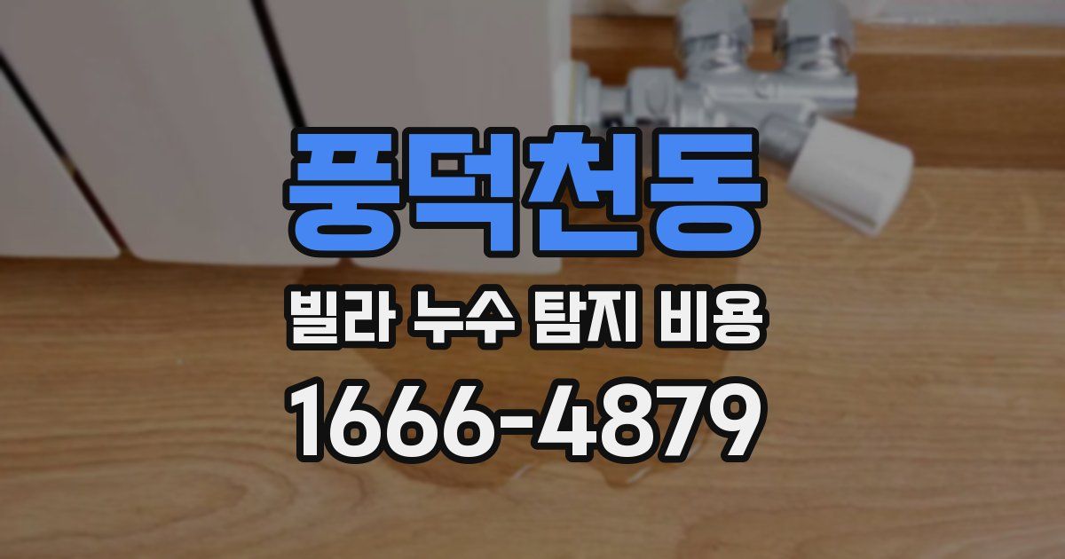 풍덕천동 빌라 누수 탐지 비용