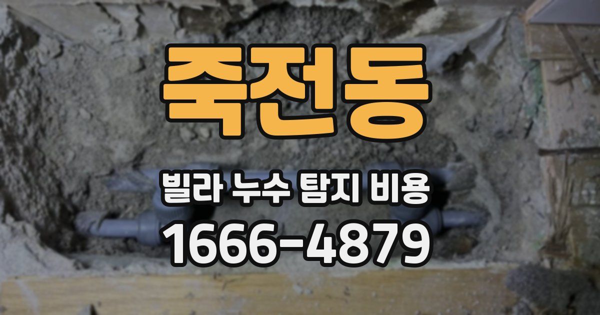 죽전동 빌라 누수 탐지 비용