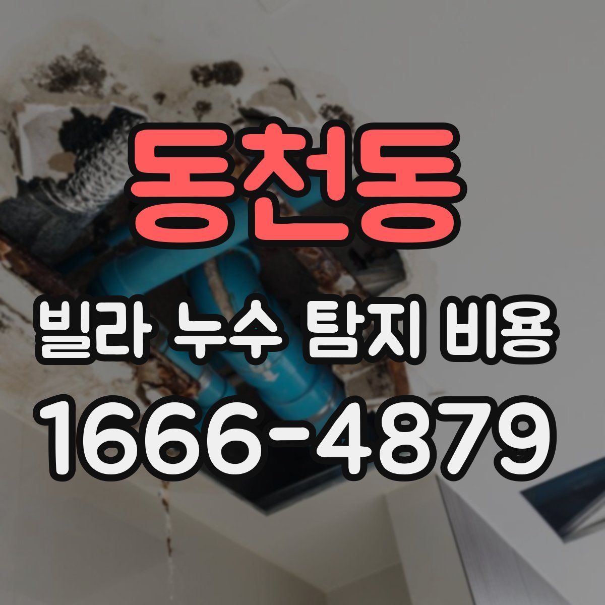 동천동 빌라 누수 탐지 비용