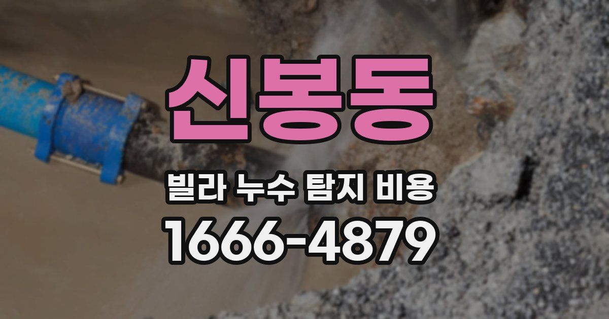 신봉동 빌라 누수 탐지 비용